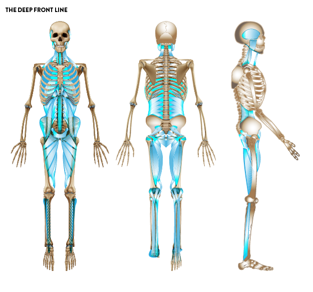 What is Fascia? Discovering its Impact on Body Mechanics