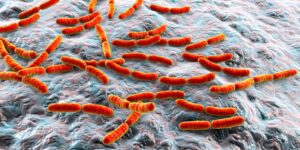 gut microbiome and autism