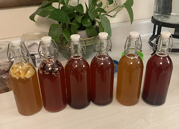 kombucha recipes