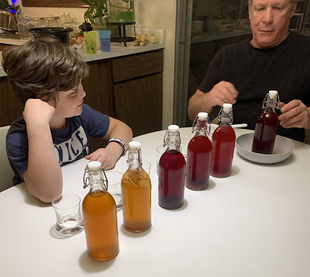 about kombucha